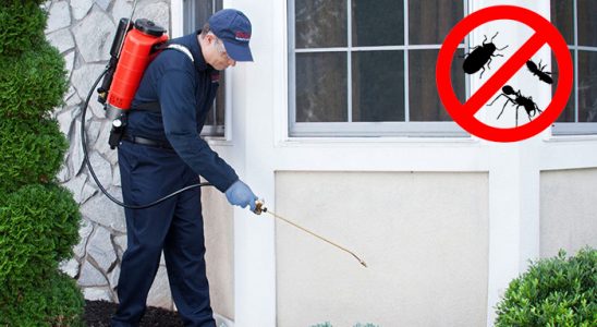 Pazarcık Karınca İlaçlama böcek ilaçlama ve haşere kontrolü — ilaclama-tr.com
